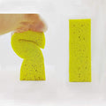 Large Natural Cellulose Cleaning Sponges – Biodegradable, Car & Home by Greenet