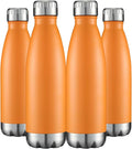HASLE OUTFITTERS 17oz Stainless Steel Water Bottles Bulk, Vacuum Insulated by HASLEOUTFITTERS