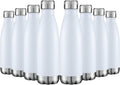 HASLE OUTFITTERS 17oz Stainless Steel Water Bottles Bulk, Vacuum Insulated by HASLEOUTFITTERS