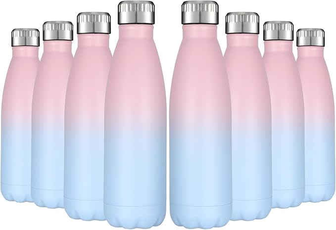 HASLE OUTFITTERS 17oz Stainless Steel Water Bottles Bulk, Vacuum Insulated by HASLEOUTFITTERS