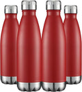 HASLE OUTFITTERS 17oz Stainless Steel Water Bottles Bulk, Vacuum Insulated by HASLEOUTFITTERS