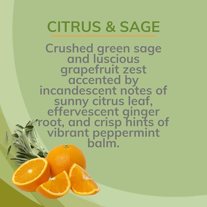 Citrus Magic Odor Eliminating Air Freshener Spray, Citrus and Sage - Image 6