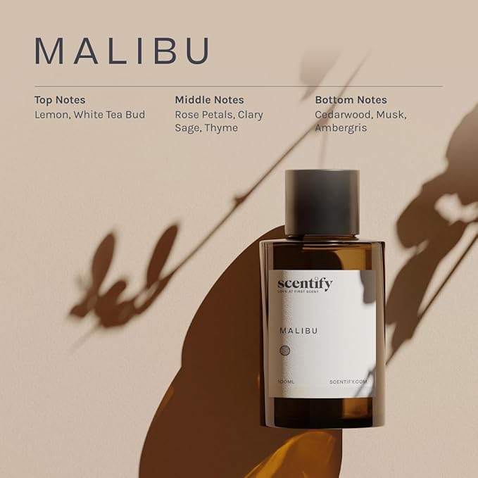 Scentify Malibu Aroma Oil Refill Scent - Image 3
