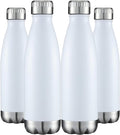 HASLE OUTFITTERS 17oz Stainless Steel Water Bottles Bulk, Vacuum Insulated by HASLEOUTFITTERS