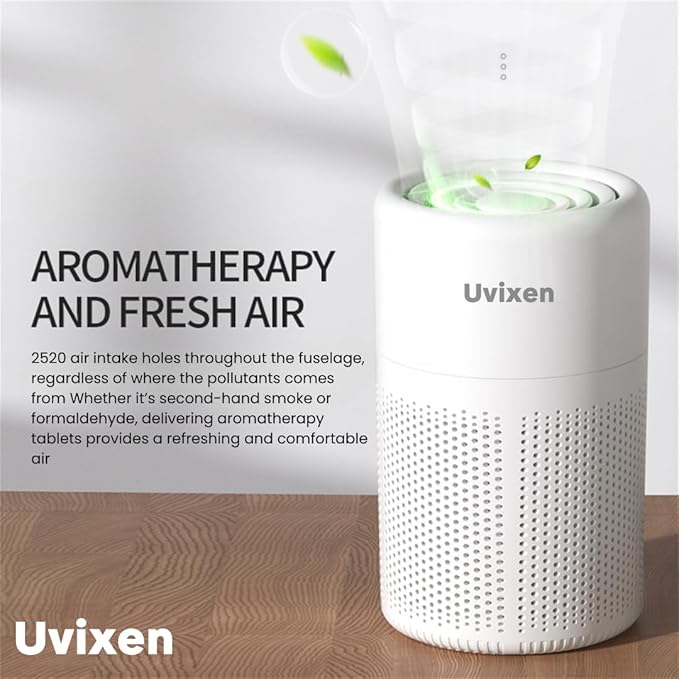 Air Purifiers for Home - Image 6
