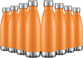 HASLE OUTFITTERS 17oz Stainless Steel Water Bottles Bulk, Vacuum Insulated by HASLEOUTFITTERS