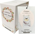 14 Packs Ocean Scented Sachets Bag by LIFFLY