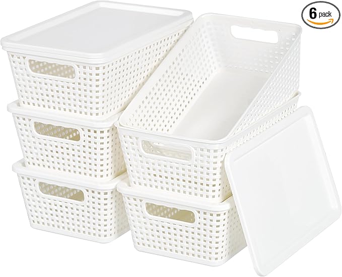Plastic Storage Baskets With Lid, Storage Bins by Unknown