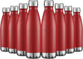 HASLE OUTFITTERS 17oz Stainless Steel Water Bottles Bulk, Vacuum Insulated by HASLEOUTFITTERS