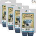 Our Own Candle Company Premium Wax Melt, Summer Night Scent, Handmade in The USA by OurOwnCandleCompanycandles