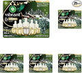 Air Wick Plug In Advanced Scented Oil, Winter Woods + Frosted Ivy, Air by AirWick
