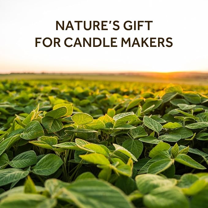 NORVENCE Soy Wax for Candle Making, Natural Soy Wax Flakes 2lb, Premium Candle - Image 2