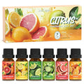 Citrus Essential Oils Set, Fragrance Oil Set by SoulOrigin