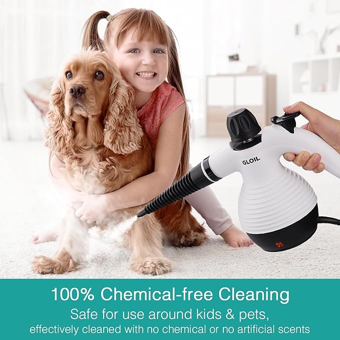 Handheld Steam Cleaner, Steamer - Image 3
