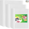 MakMeFre 300 Bags 100 of Each Size Plus Quart 10"x13" and Quart 8"x12" and Pint by MakMeFreDirect