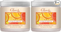 Clear Air Odor Absorber Gel - 15 oz by ClearAir