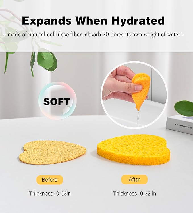 50-Count Compressed Facial Sponges - Image 4