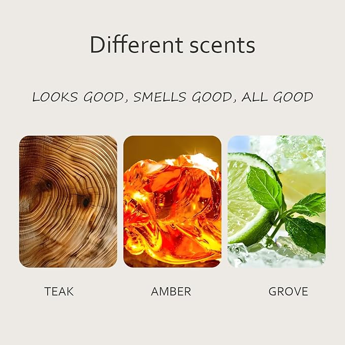 Teak Air Freshener, Stone Scent Starter Kit, Odor Eliminator - Image 3