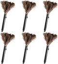 Retractable Feather Duster-Genuine Ostrich Feathers, Anti-Static, Reusable by FeelFunFeather