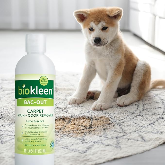 Biokleen Bac-Out Carpet Stain Remover Enzymatic, Destroys Stains & Odors Safely - Image 8