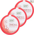 Citrus Magic Holiday Odor Absorbing Solid Air Freshener, Holly Jolly Peppermint by CitrusMagic