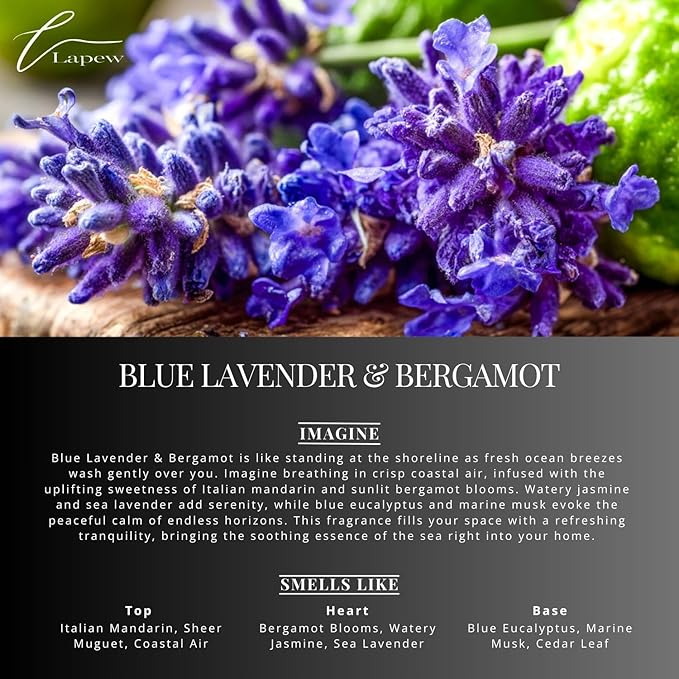 Blue Lavender & Bergamot Carpet Freshener Powder: Powerful Odor Eliminator - Image 3