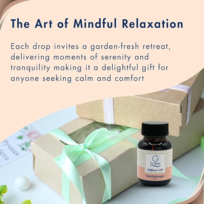 G's Breeze Cantaloupe Diffuser Oil Refill - Image 7