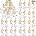 BBTO 50 Pcs Hanging Car Air Freshener Car Diffuser Bottles Empty Glass Perfume by BBTO