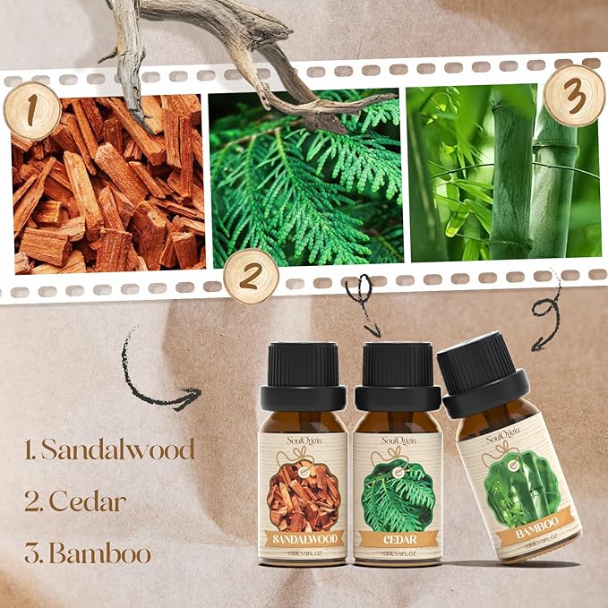 Woody Essential Oils Set, Fragrance Oil Set - Image 2