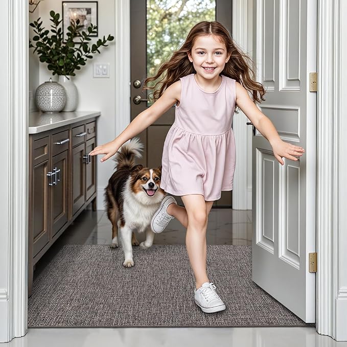LUMI Ultra Thin Door Mat for Entryway, Easy Clean Welcome Entrance Mat for - Image 4