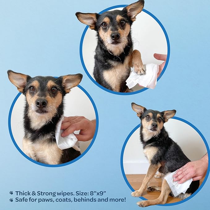 Best Pet Supplies Pet Wipes for Dogs - Image 4
