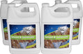 Black Diamond Stoneworks Wood & Laminate Floor Cleaner- Ready to Use Non-Toxic by BlackDiamondStoneworks