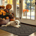 hicorfe Indoor Door Mat, Non Slip Door Mats, Absorbent Resist Dirt Entrance by Hicorfe