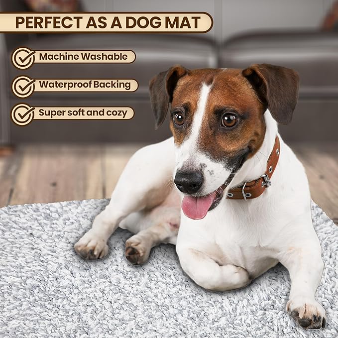 Premium Microfiber Indoor Door Mat – 24"x36" Washable Entry Mat, Waterproof - Image 2