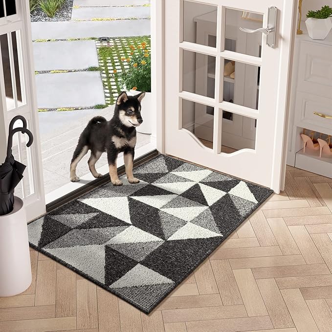 hicorfe Indoor Doormat, Low-Profile Absorbent Resist Dirt Entryway Doormat by Hicorfe