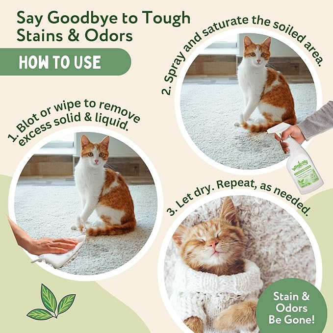 Wee Away X2 Ultra Concentrated Pet Stain and Odor Remover, Enzyme Cleaner - Image 2