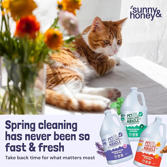 Sunny & Honey Pet Stain & Odor Miracle - Image 9