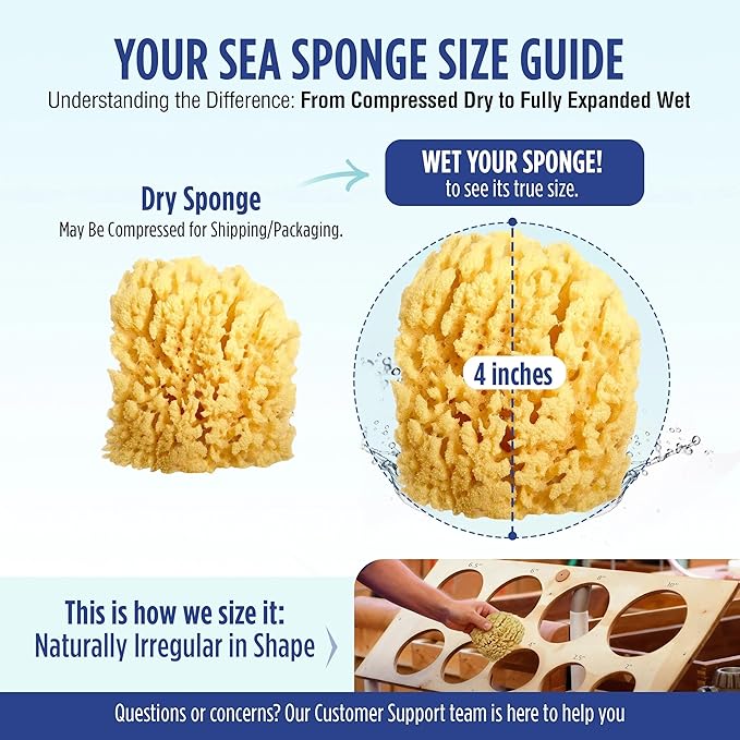Baby Buddy Baby Bath 4in Assorted Sea Sponges, Absorbent Natural Sea Sponge - Image 6