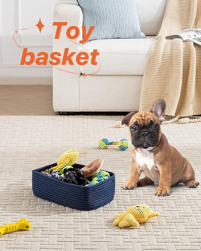 Small Woven Basket, Storage Basket - Image 5