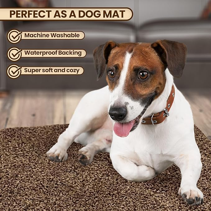 Premium Microfiber Indoor Door Mat – 20"x30" Washable Entry Mat, Waterproof - Image 6