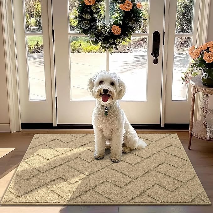 hicorfe Front Door Mat Outside Entrance, Stain and Fade Resistant, Non Slip by Hicorfe