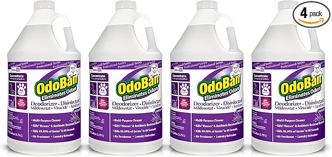 OdoBan Professional Disinfectant and Odor Eliminator Concentrate, Made in the by OdoBan