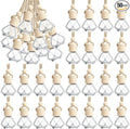 BBTO 50 Pcs Hanging Car Air Freshener Car Diffuser Bottles Empty Glass Perfume by BBTO