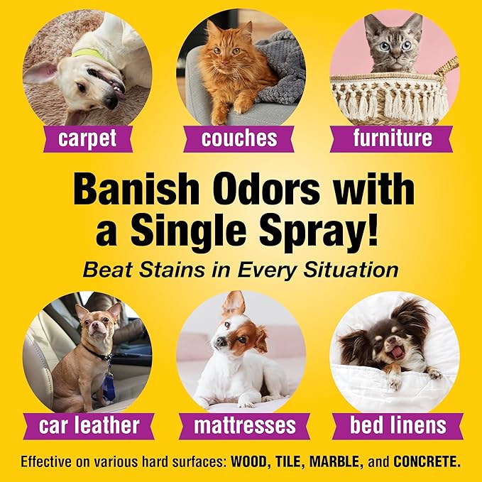 Pet Carpet Cleaner & Urine Odor Eliminator - Image 5