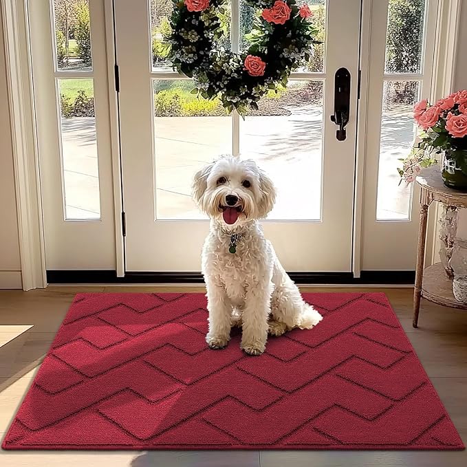 hicorfe Front Door Mat Outside Entrance, Stain and Fade Resistant, Non Slip by Hicorfe