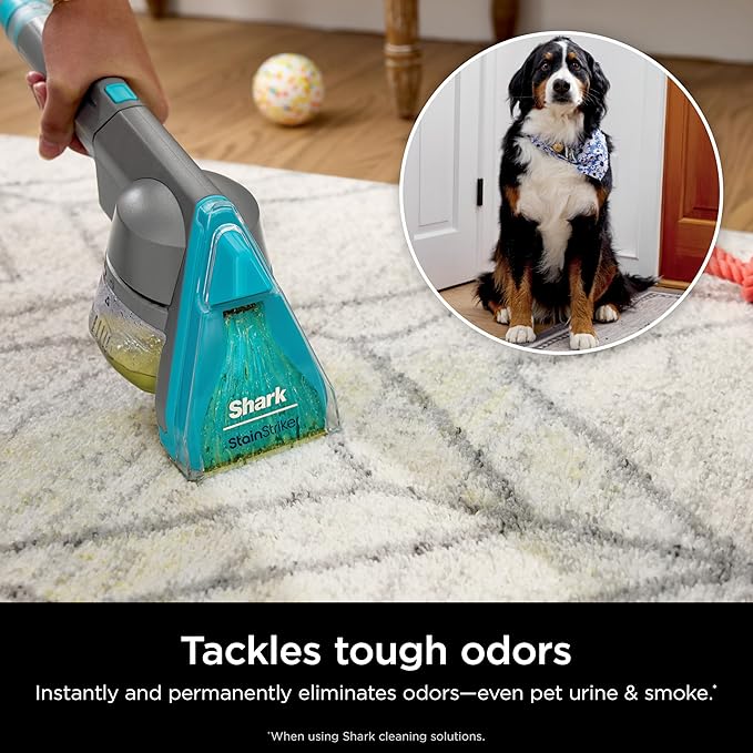 Shark CarpetXpert HairPro with StainStriker Upright Carpet, Area Rug & - Image 7