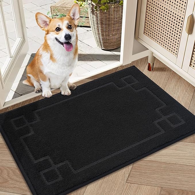 BEQHAUSE Door Mat 20" x 32", Non-Slip Door Mats Indoor Entryway Rugs Washable by BEQHAUSE