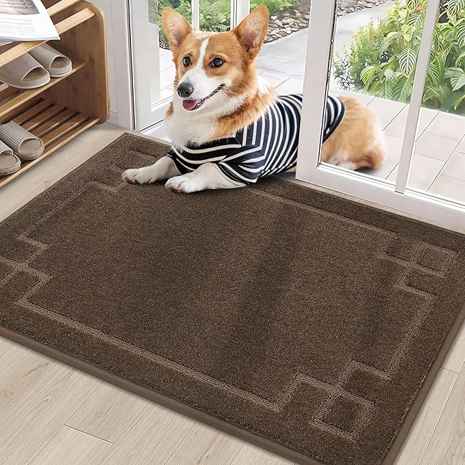 BEQHAUSE Door Mat 24" x 36", Non-Slip Door Mats Indoor Entryway Rugs Washable by BEQHAUSE
