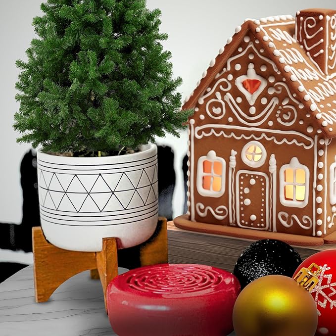 Citrus Magic Holiday Odor Absorbing Solid Air Freshener, Holiday Bakeshop - Image 6