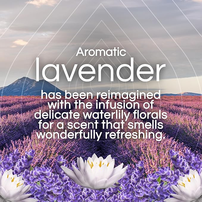 Air Wick Plug in Scented Oil Refill, Lavender & Waterlily, Air Freshener - Image 3